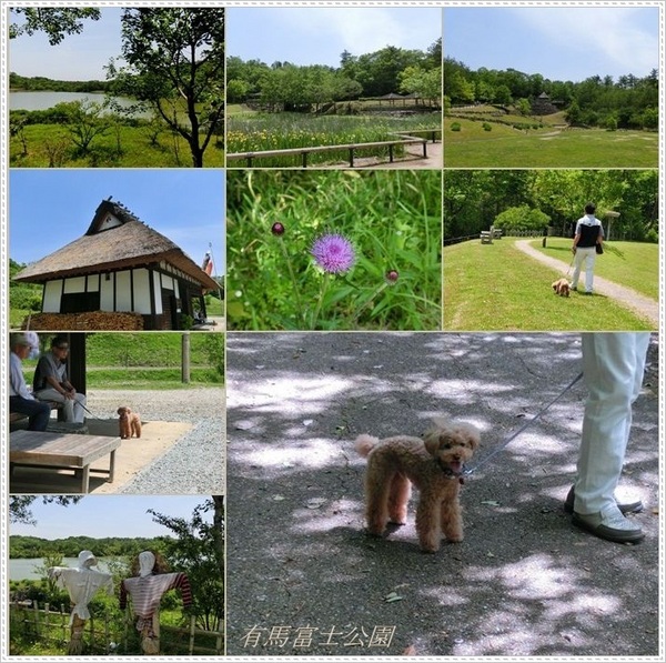 有馬富士公園集合写真9枚.jpg