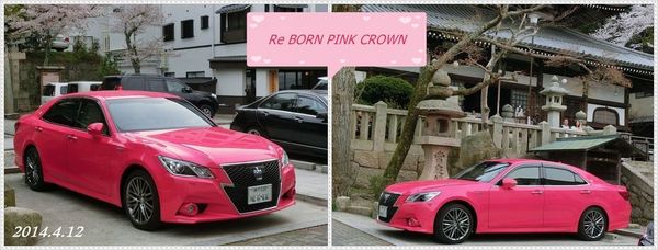 PINK CROWN2.jpg